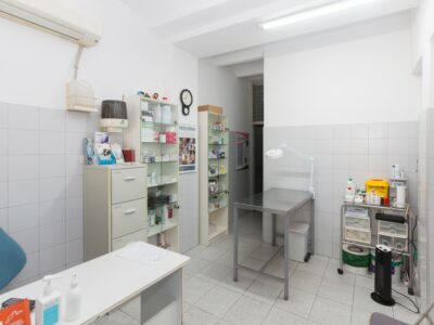 Centre Veterinari Sant Feliu 2